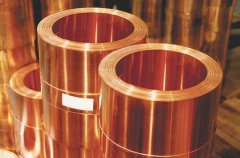 1-220303114013517-lp